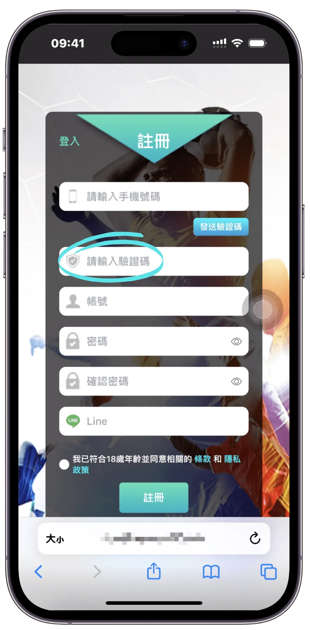 Step 4 輸入驗證碼
